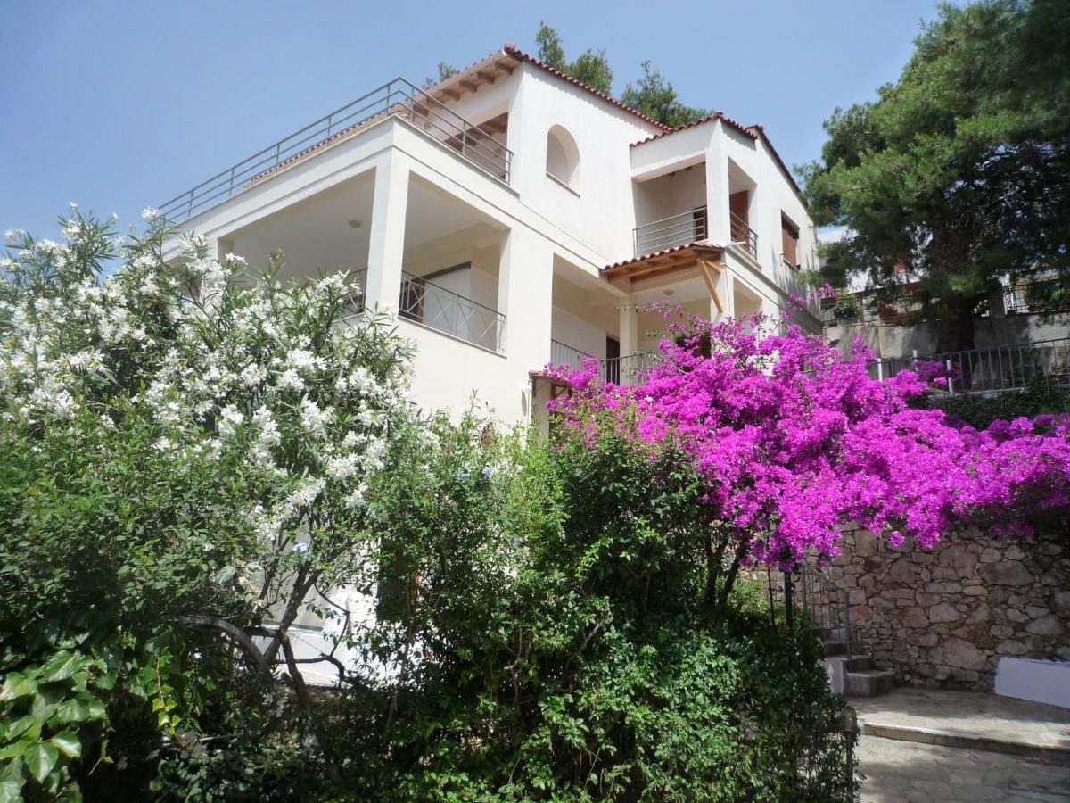 Villa Iguana Votsi Votsi  Exteriör bild